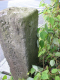 image0003
