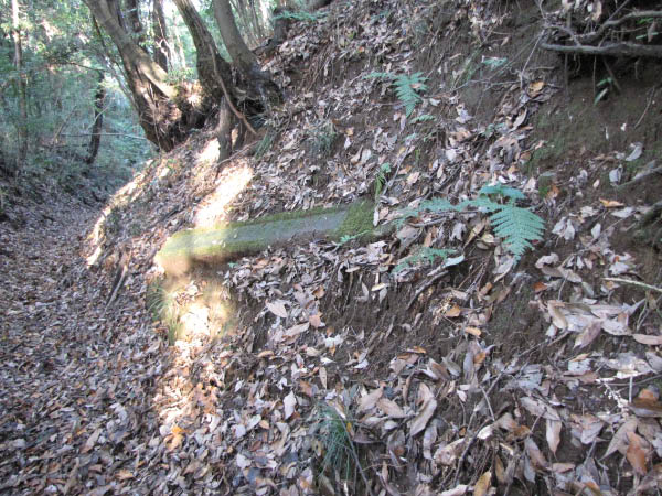 image0002