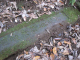 image0001