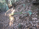 image0002