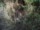image0000