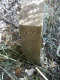 image0002