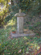 image0006