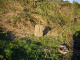 image0008