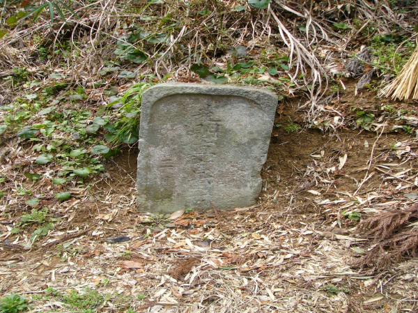 image0004