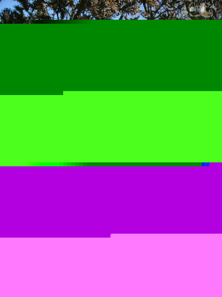 image0002