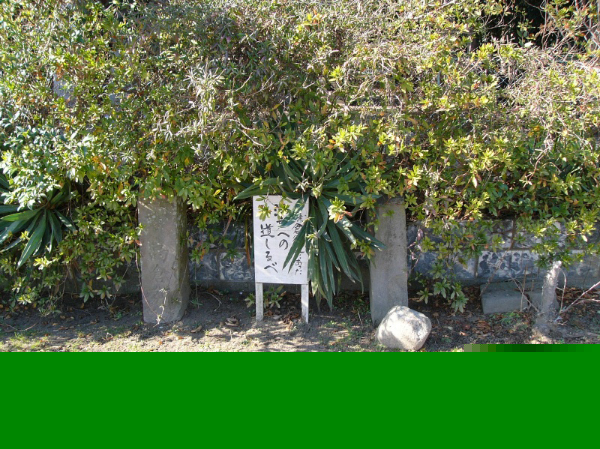image0008