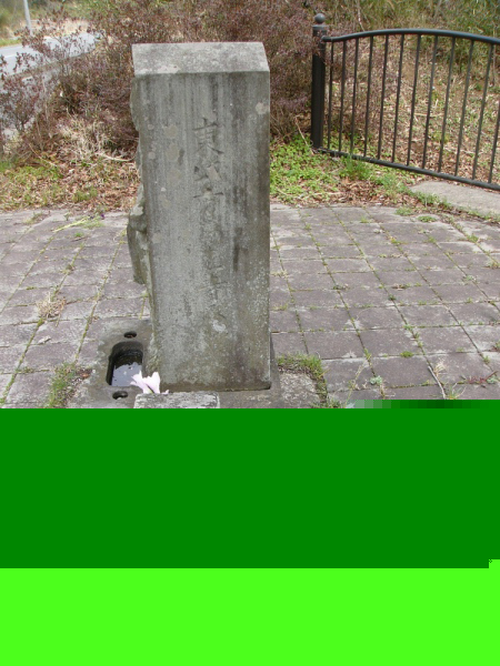 image0029
