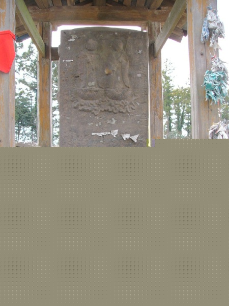 image0062