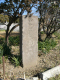 image0002