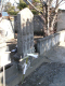 image0006