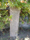 image0009
