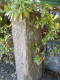 image0010