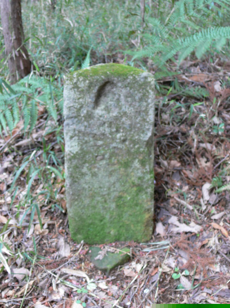 image0068