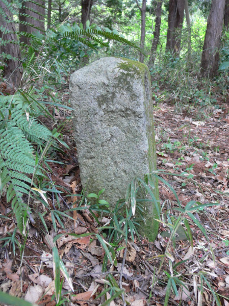image0070
