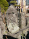 image0016