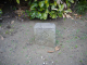 image0054