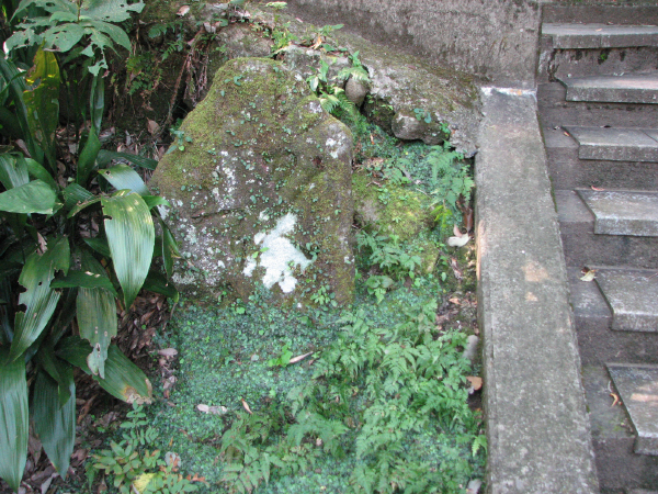 image0006