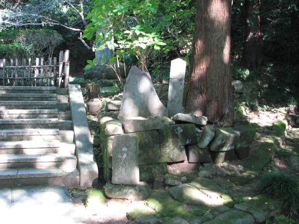 image0008