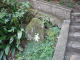 image0005