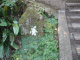 image0006
