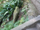 image0007