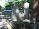 image0009