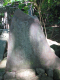 image0010