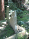 image0011