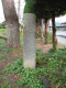 image0017