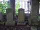 image0013
