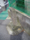 image0014