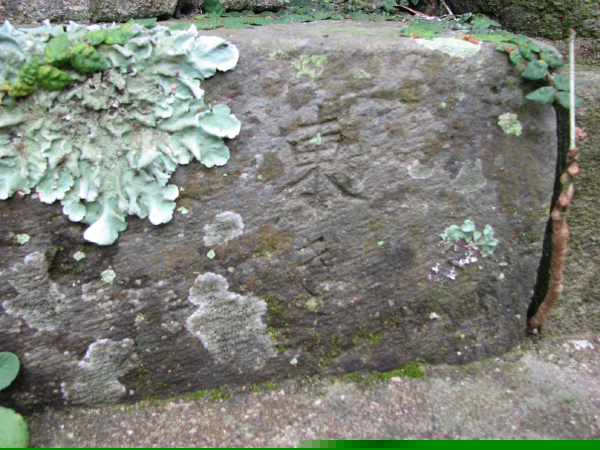 image0027