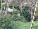 image0006