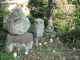 image0007