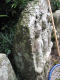 image0015