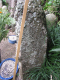 image0017