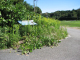 image0010