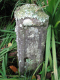 image0015