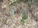 image0005