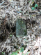 image0006