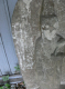 image0019