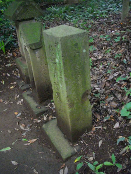 image0003