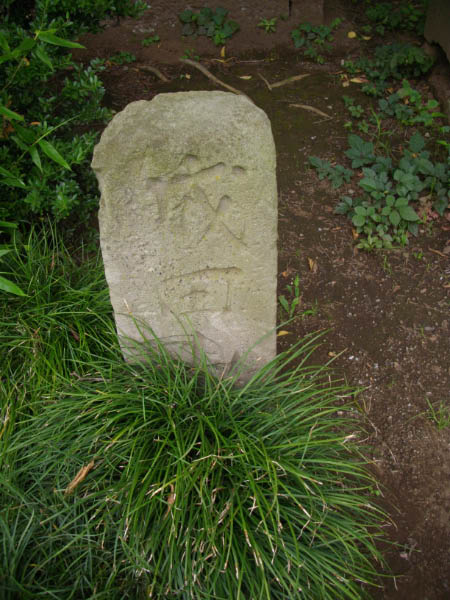 image0007