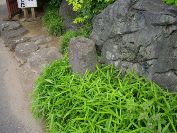 image0024