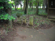 image0005