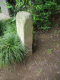 image0006