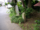 image0009
