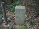image0018