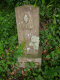 image0005